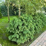Full 2bdr Garden House Near To Downtown Metro Free Parking Konukevi Budapeşte
