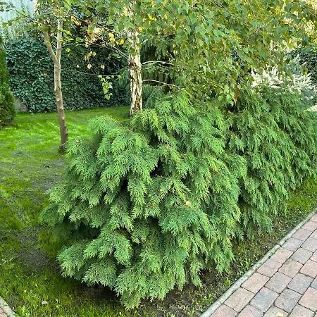 Full 2bdr Garden House Near To Downtown Metro Free Parking בית הארחה בודפשט