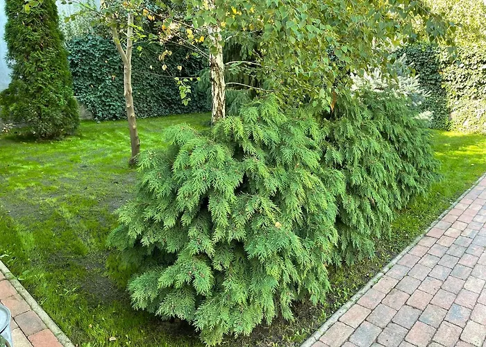 Full 2bdr Garden House Near To Downtown Metro Free Parking Maison d'hôtes Budapest